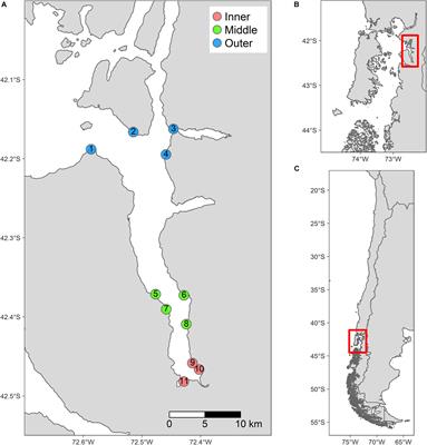 Depth-Dependent Diversity Patterns of Rocky Subtidal Macrobenthic Communities Along a Temperate Fjord in Northern Chilean Patagonia